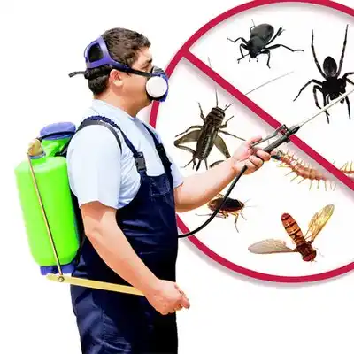 pest control Tuckahoe